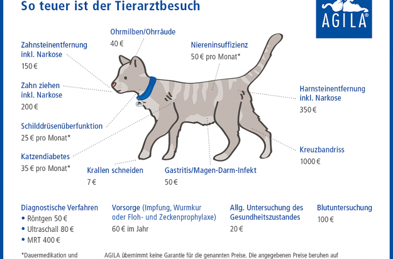 Agila Schaubild Tierarztkosten Katze Lieblingskatze